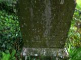 image of grave number 425332